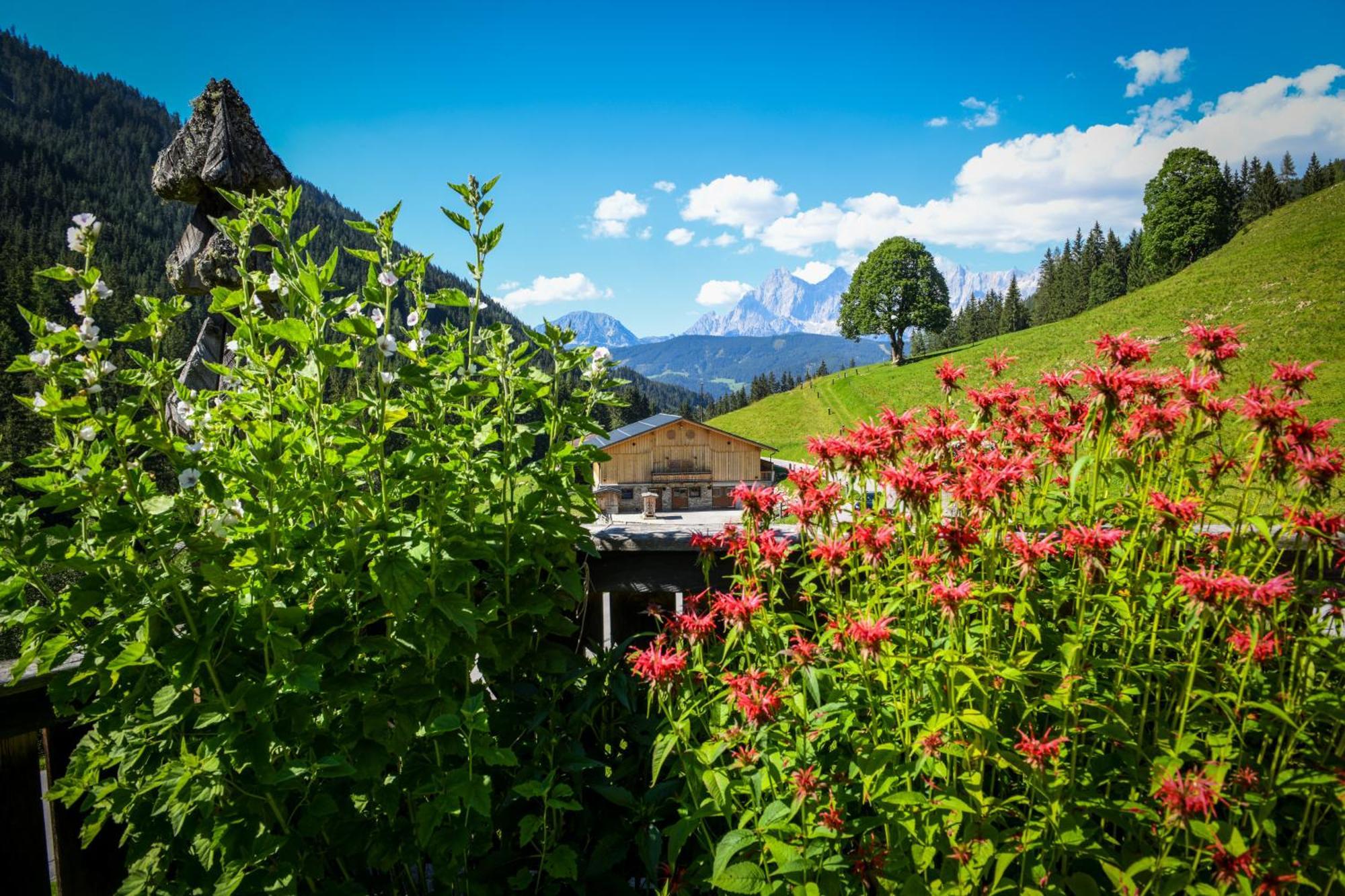 Strickhof Vila Schladming Exterior foto