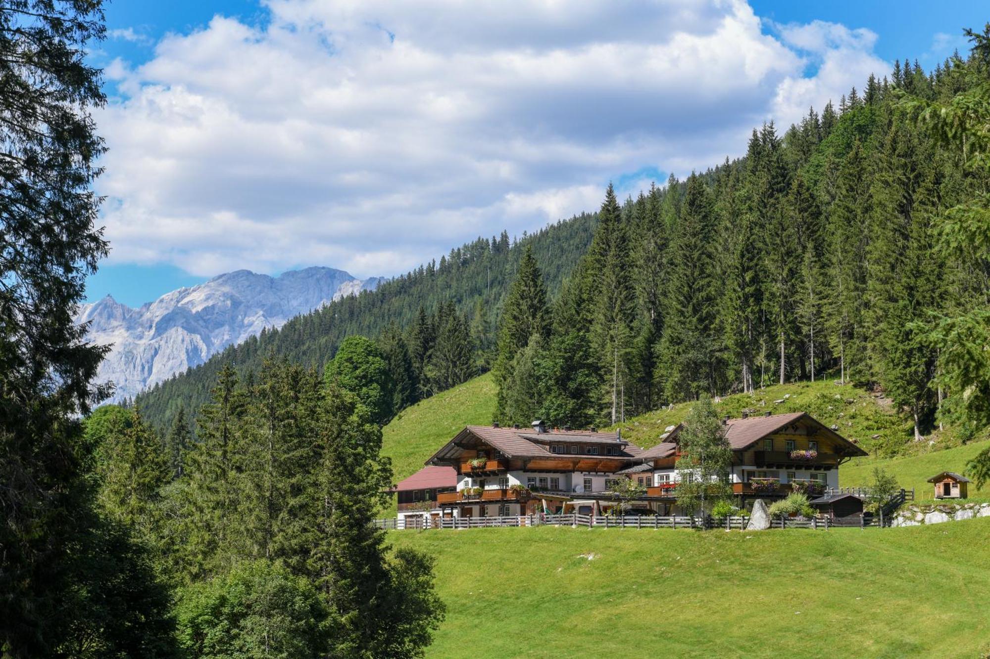 Strickhof Vila Schladming Exterior foto