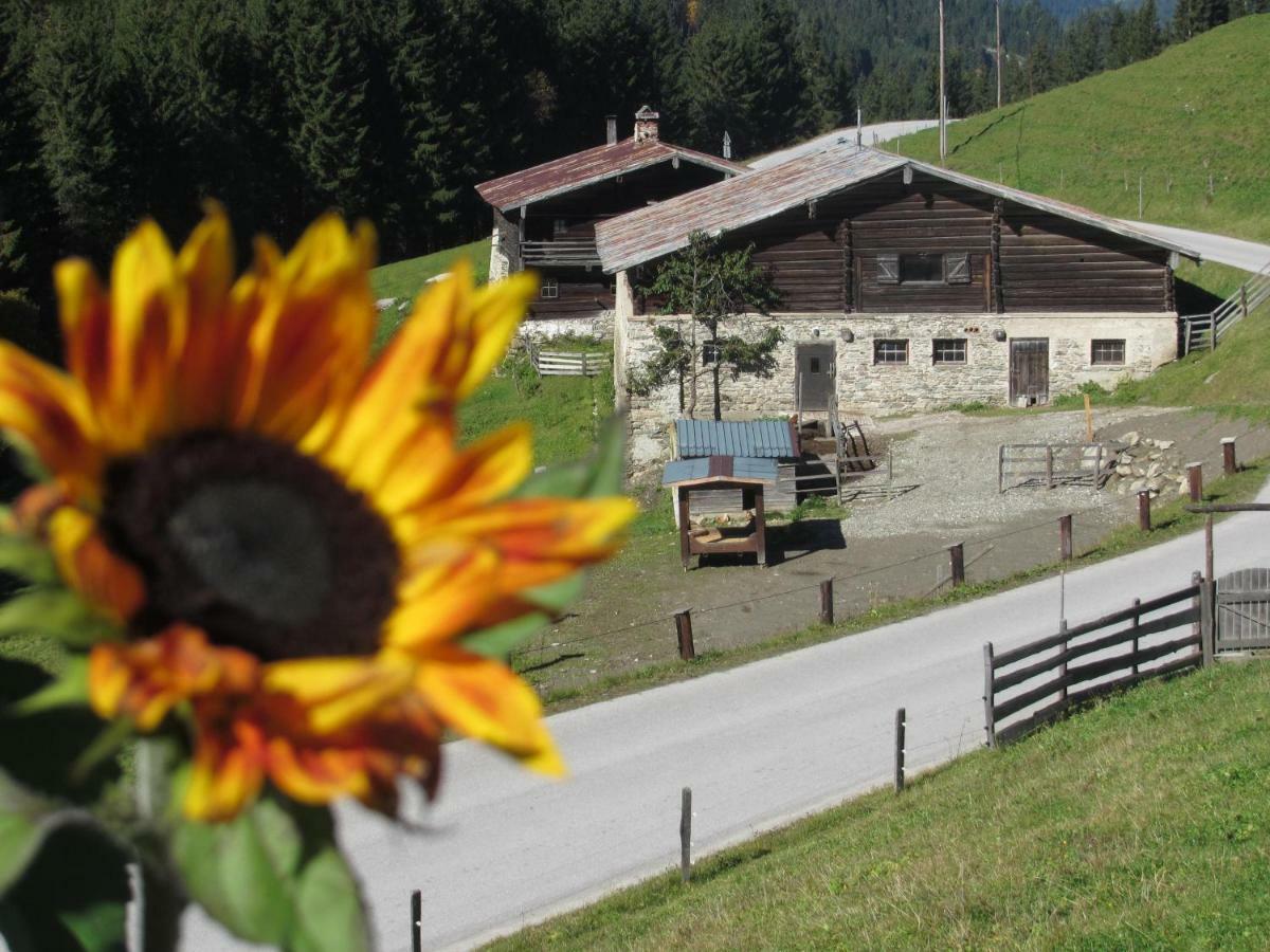 Strickhof Vila Schladming Exterior foto