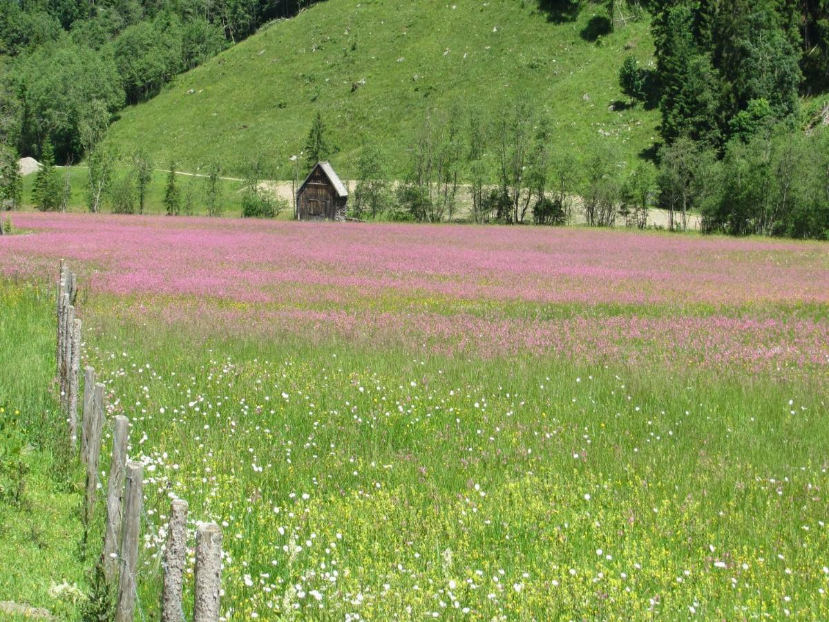 Strickhof Vila Schladming Exterior foto